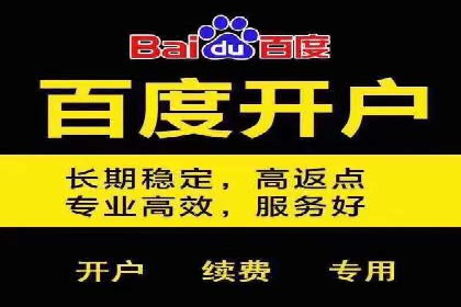 网络推广中的竞价广告：成功案例解析